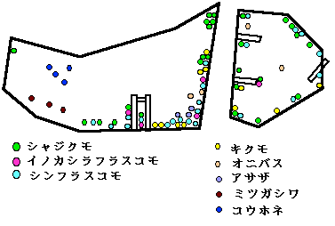 じゅん菜池最奥部の植生