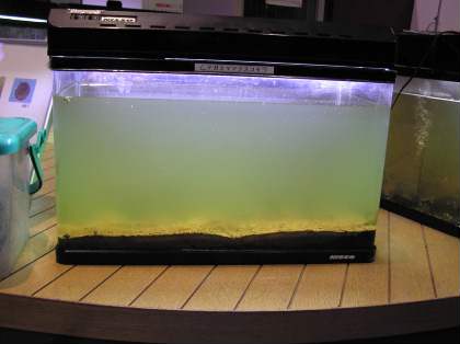 2003年11月水の館