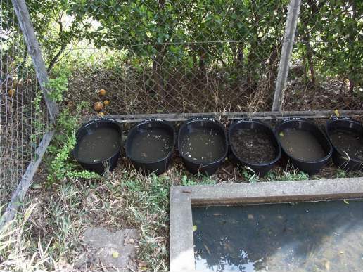 入れ物をならべたところ