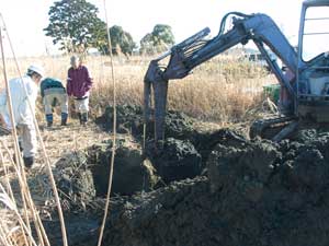 掘っている