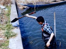 泥をとってるところです