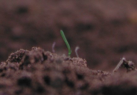 �����܂�1����