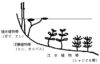 垂直分布図です